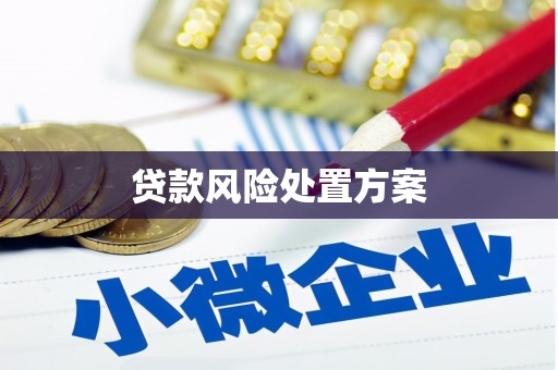 潭子贷款风险处置方案