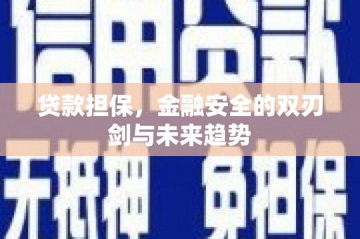 潭子贷款担保，金融安全的双刃剑与未来趋势