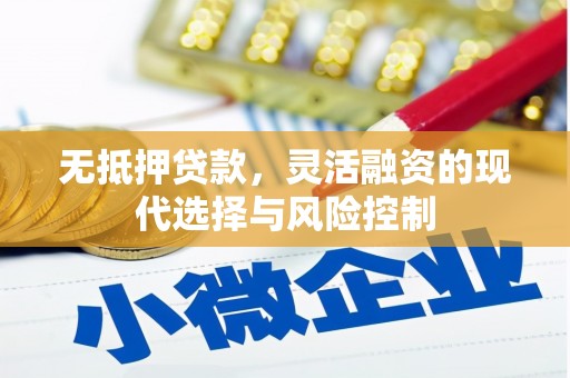 潭子无抵押贷款，灵活融资的现代选择与风险控制