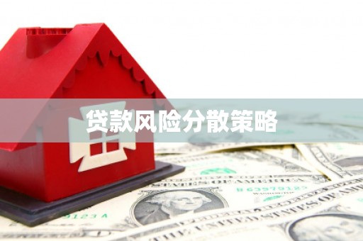 潭子贷款风险分散策略
