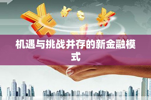 潭子机遇与挑战并存的新金融模式