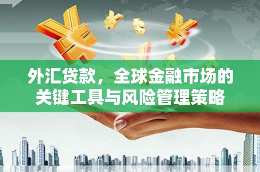 潭子外汇贷款，全球金融市场的关键工具与风险管理策略