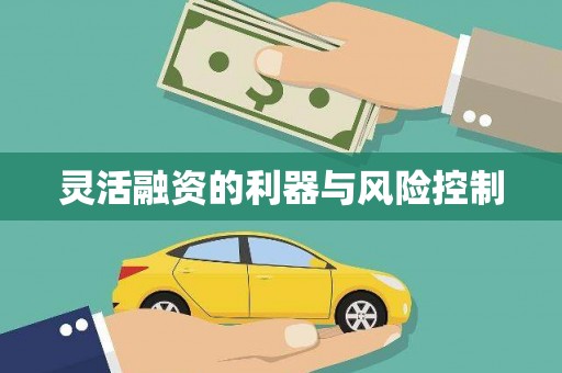 潭子灵活融资的利器与风险控制