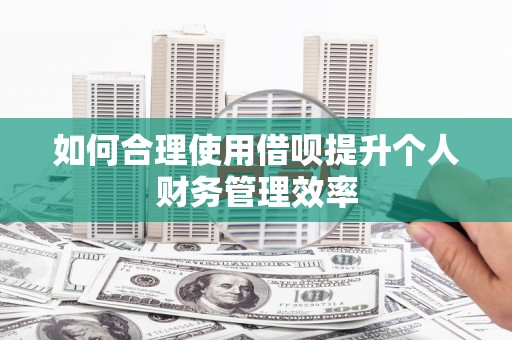 潭子如何合理使用借呗提升个人财务管理效率