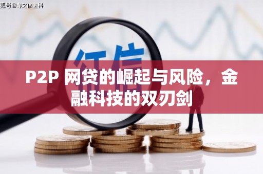 潭子P2P 网贷的崛起与风险，金融科技的双刃剑