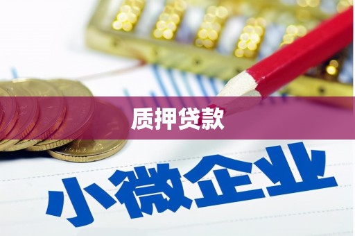 潭子质押贷款