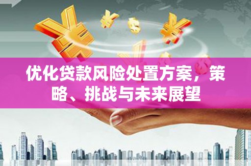 潭子优化贷款风险处置方案，策略、挑战与未来展望