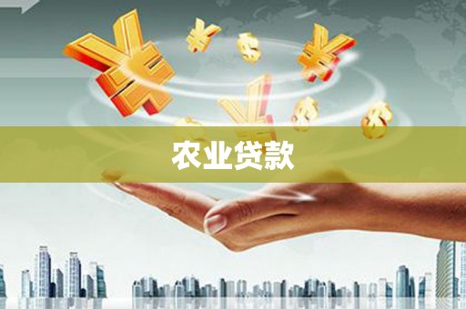 潭子农业贷款