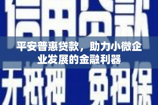 潭子平安普惠贷款，助力小微企业发展的金融利器