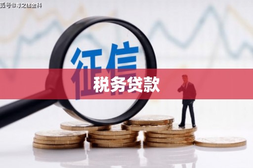 潭子税务贷款