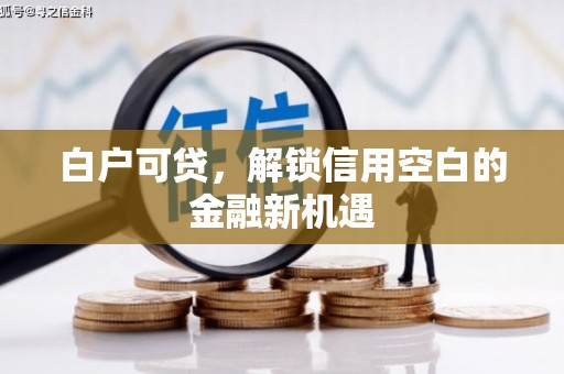 潭子白户可贷，解锁信用空白的金融新机遇