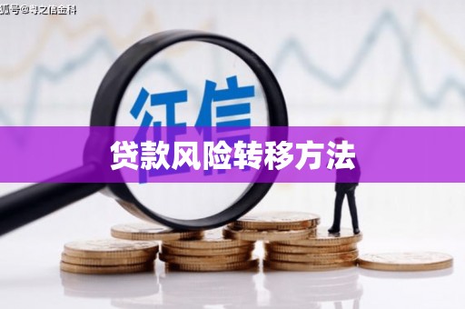 潭子贷款风险转移方法