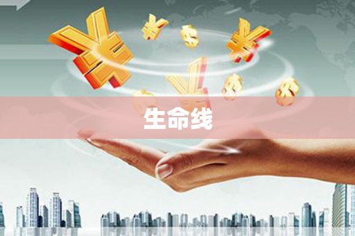 潭子生命线