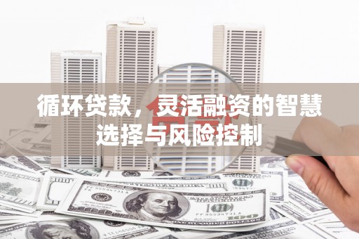 潭子循环贷款，灵活融资的智慧选择与风险控制