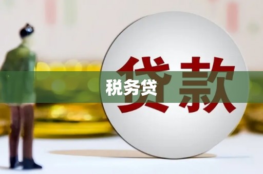 潭子税务贷