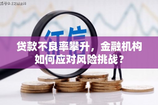 潭子贷款不良率攀升，金融机构如何应对风险挑战？
