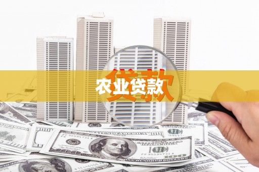 潭子农业贷款