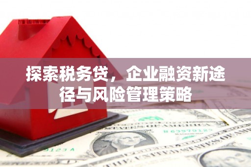 潭子探索税务贷，企业融资新途径与风险管理策略