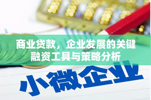 潭子商业贷款，企业发展的关键融资工具与策略分析