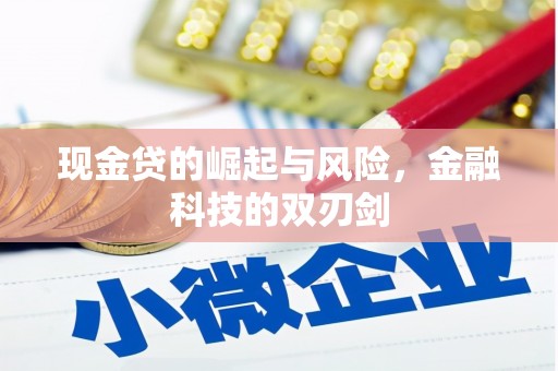 潭子现金贷的崛起与风险，金融科技的双刃剑
