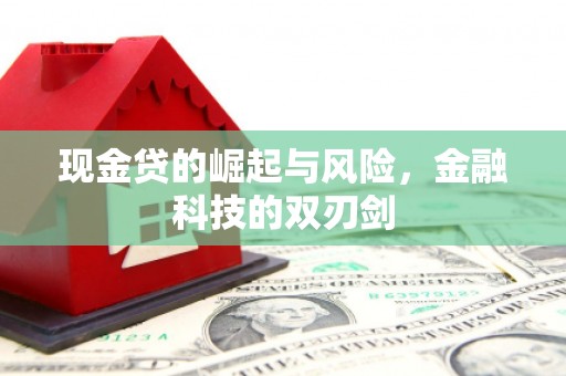潭子现金贷的崛起与风险，金融科技的双刃剑
