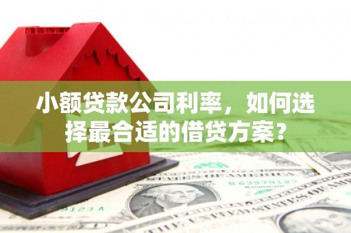 潭子小额贷款公司利率，如何选择最合适的借贷方案？