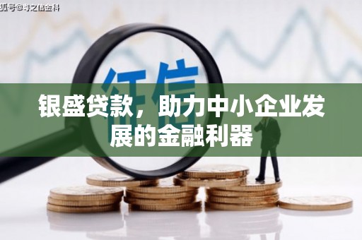 潭子银盛贷款，助力中小企业发展的金融利器