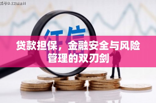 潭子贷款担保，金融安全与风险管理的双刃剑