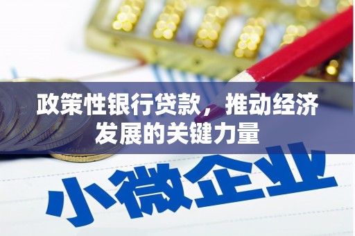 潭子政策性银行贷款，推动经济发展的关键力量
