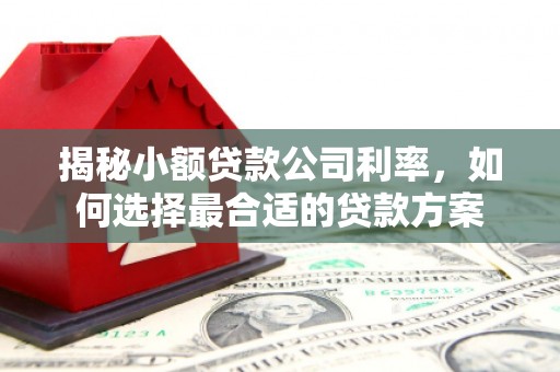潭子揭秘小额贷款公司利率，如何选择最合适的贷款方案