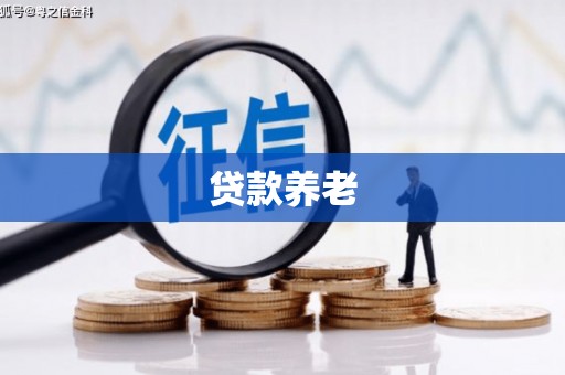潭子贷款养老