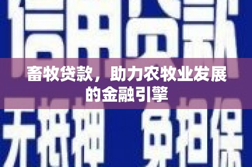 潭子畜牧贷款，助力农牧业发展的金融引擎