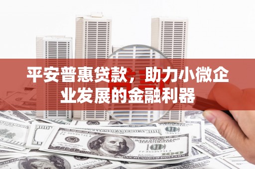 潭子平安普惠贷款，助力小微企业发展的金融利器