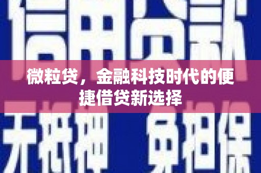 潭子微粒贷，金融科技时代的便捷借贷新选择