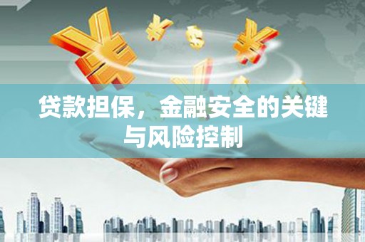 潭子贷款担保，金融安全的关键与风险控制