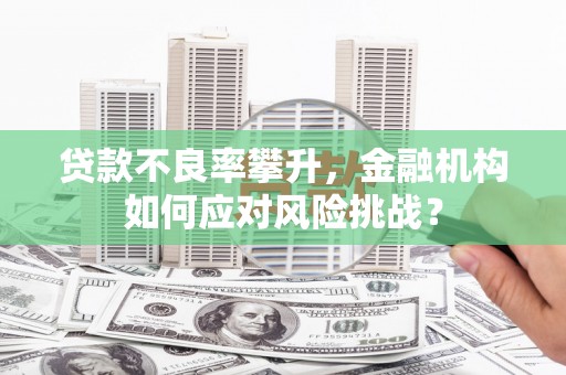 潭子贷款不良率攀升，金融机构如何应对风险挑战？
