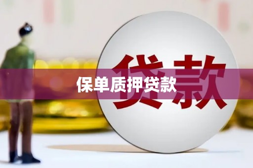 潭子保单质押贷款