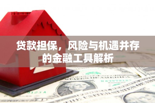 潭子贷款担保，风险与机遇并存的金融工具解析
