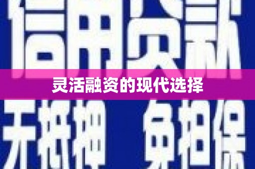 潭子灵活融资的现代选择