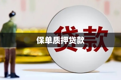 潭子保单质押贷款