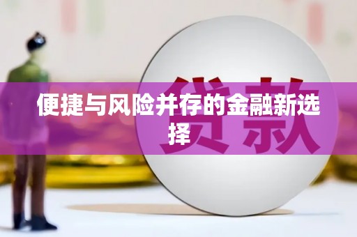 潭子便捷与风险并存的金融新选择