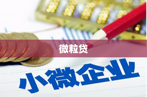 潭子微粒贷