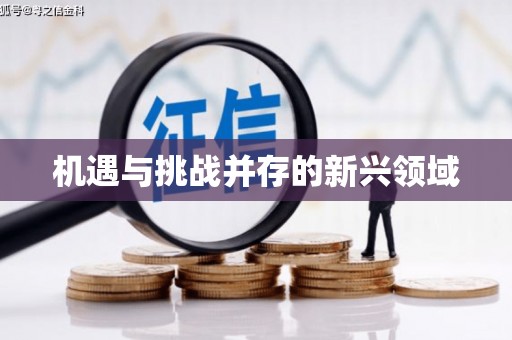 潭子机遇与挑战并存的新兴领域