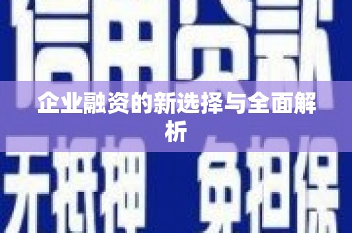 潭子企业融资的新选择与全面解析
