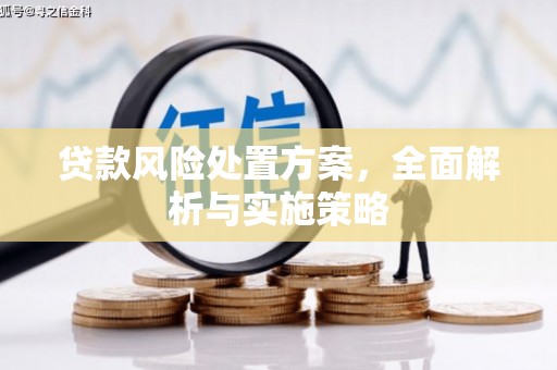 潭子贷款风险处置方案，全面解析与实施策略