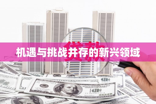 潭子机遇与挑战并存的新兴领域