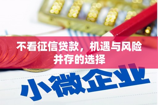 潭子不看征信贷款，机遇与风险并存的选择