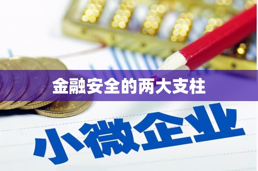 潭子金融安全的两大支柱