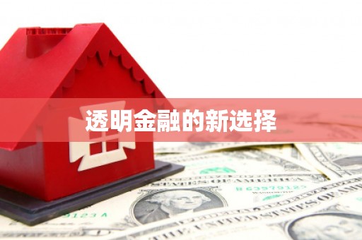 潭子透明金融的新选择