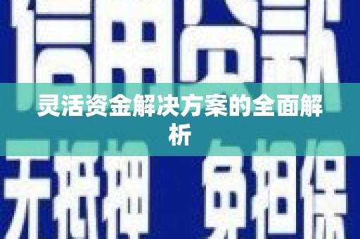 潭子灵活资金解决方案的全面解析